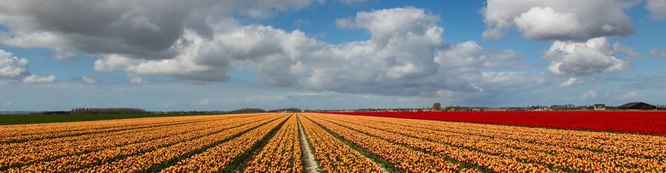 trouwen-dopen-rouwen